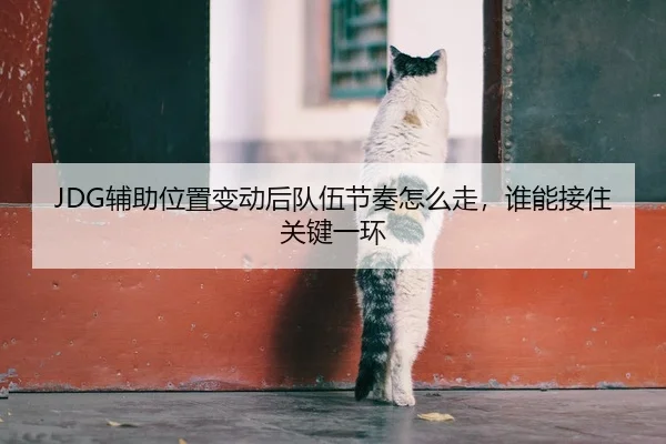 JDG辅助位置变动后队伍节奏怎么走，谁能接住关键一环